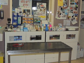 Dierenkliniek beste reviews, Beste dierenarts in de buurt, Kosten ontwormen van katten, Mijn hond heeft vlooien, Steriliseren van huisdier, Castreren kat, Lasertherapie voor uw huisdier, Voordelig hondenvoer kopen, Beste dierenarts, Dierenwinkel in Geraardsbergen, Oost-Vlaanderen